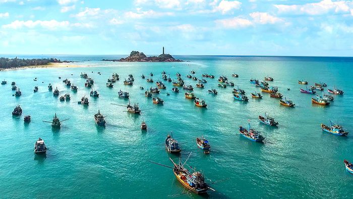 Nghề khai thác thủy sản vẫn là một trong những ngành có đóng góp đáng kể cho sự phát triển kinh tế - xã hội của tỉnh