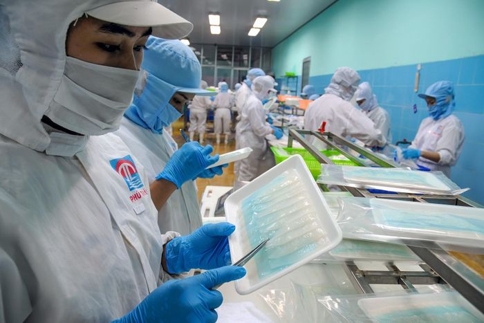 Chế biến thủy sản xuất khẩu. Ảnh tư liệu