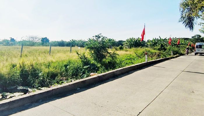 Khu đất trên địa bàn xã Bình Chánh, TPHCM. Ảnh: THANH HIỀN