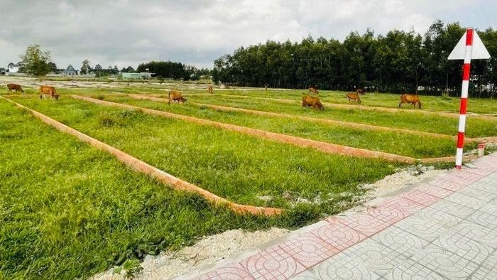 Một khu đất phân lô trên địa bàn phường Tân Thành, TPHCM. Ảnh: QUANG VŨ