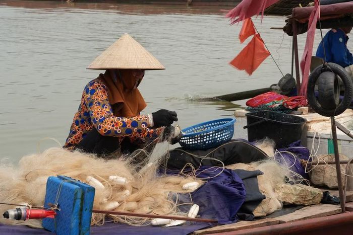 Cá mòi được đánh bắt bằng lưới truyền thống tại khúc sông Hồng chạy qua phường Phố Hiến, tỉnh Hưng Yên. (Ảnh: Mạnh Khánh/TTXVN)