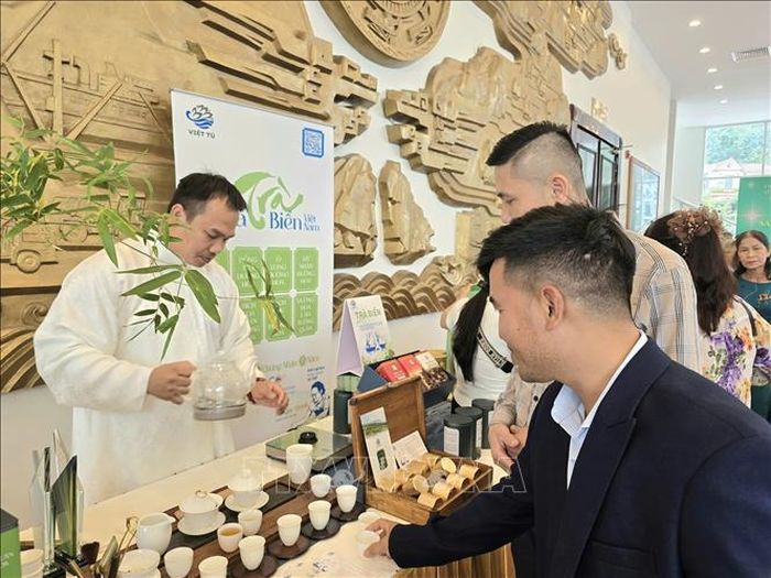Chè Việt Tú (xã Đường Hoa) hiện có 10 sản phẩm đạt 4 sao và 5 sao tiềm năng. Ảnh: TTXVN phát