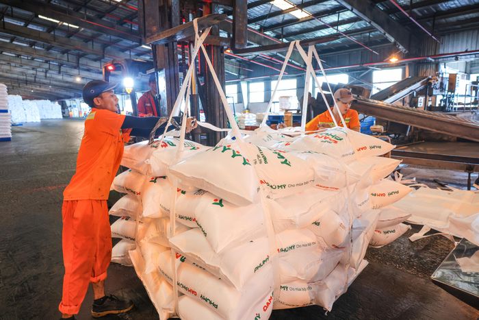  Trong tháng 3-2026, giá phân bón trong nước không ngừng tăng cao 