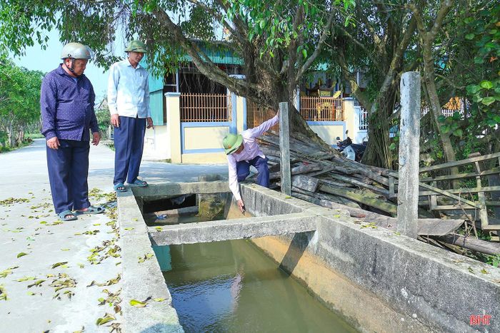 Không riêng gia đình ông Trung, nhiều hộ dân có ruộng sản xuất trong khu vực lấy nước từ trạm bơm Sông Già gồm 3 thôn Hòa Hợp, Chi Lưu và Tri Lễ cũng chung nỗi lo, nhất là vào những giai đoạn cao điểm cần nước tưới cho lúa.
