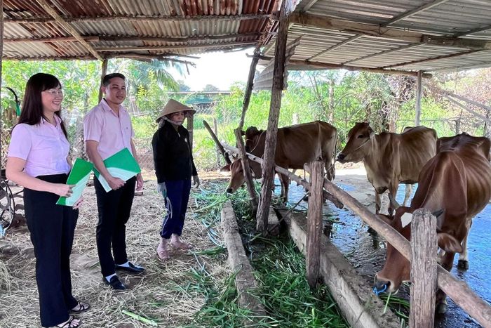 Nguồn vốn vay ưu đãi được hộ đồng bào dân tộc thiểu số đầu tư vào chăn nuôi hiệu quả