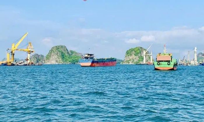 Hoạt động chuyển tải, bốc xếp hàng hóa tại khu vực cảng Con Ong - Hòn Nét. Ảnh: Báo Quảng Ninh.