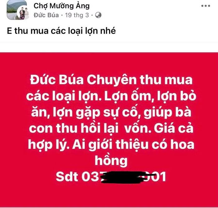  Nickname "Đức Búa" đăng tải thông tin trên nhóm "Chợ Mường Ảng". 