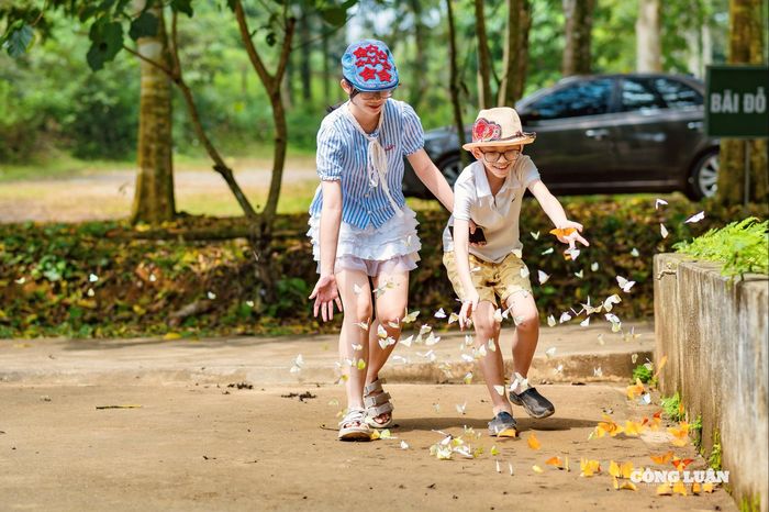 Theo thống kê, trong tháng 3/2026, Vườn quốc gia Cúc Phương đã đón hơn 12.300 lượt khách, trong đó khách nội địa chiếm gần 9.000 lượt. Lượng khách gia tăng khiến các tuyến tham quan trong rừng trở nên sôi động hơn, đặc biệt vào dịp cuối tuần khi du khách đổ về ngày càng đông.