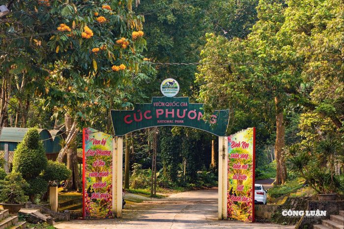 Việc trải nghiệm đi kèm với ý thức bảo vệ sẽ góp phần giữ gìn vẻ đẹp nguyên bản của Vườn quốc gia Cúc Phương.