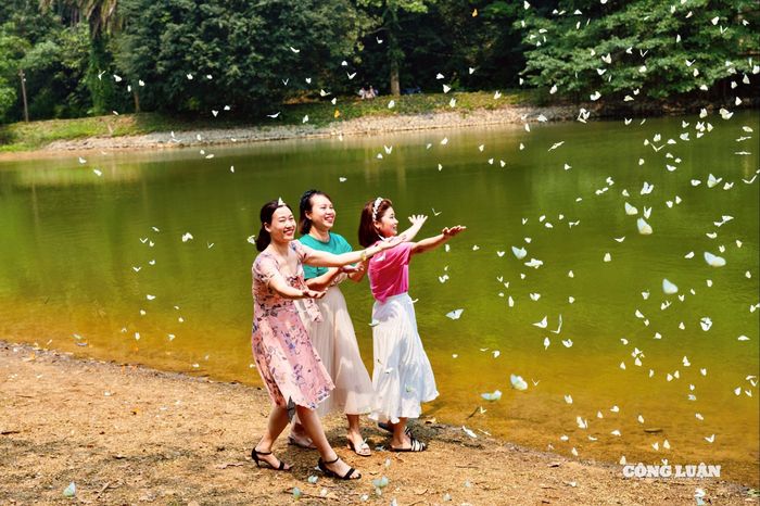 Du khách khi tham quan cần giữ khoảng cách, tránh xua đuổi hoặc bắt bướm, đồng thời hạn chế sử dụng các hành động gây ảnh hưởng đến môi trường sống tự nhiên.
