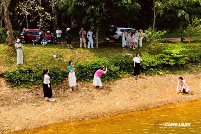 Theo ghi nhận, năm nay mùa bướm đến sớm hơn so với mọi năm, khiến nhiều du khách bất ngờ. Không ít người tranh thủ thời điểm này để lên kế hoạch “săn ảnh”, lưu lại những khoảnh khắc hiếm có giữa thiên nhiên nguyên sơ.