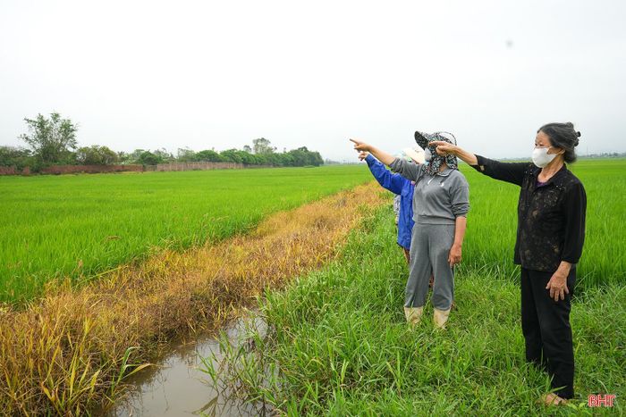 Người dân thôn Bình Tiến bức xúc khi tình trạng mùi hôi thối từ trang trại gà diễn ra trong thời gian dài, làm cuộc sống bị đảo lộn.