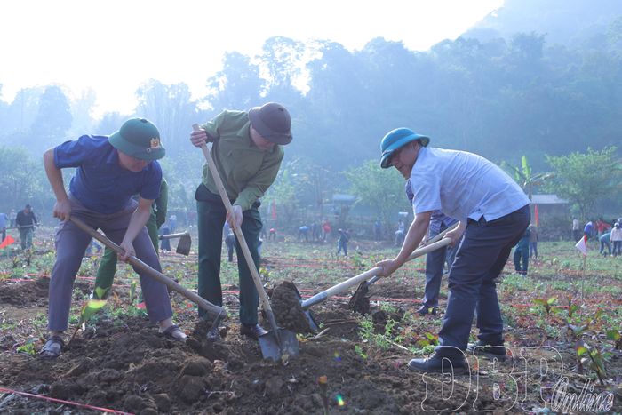 Cán bộ xã Mường Tùng tham gia trồng cây cà phê.