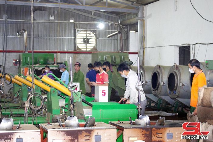 Quy trình sản xuất chè của Công ty TNHH Trà Thu Đan, xã Bình Thuận.