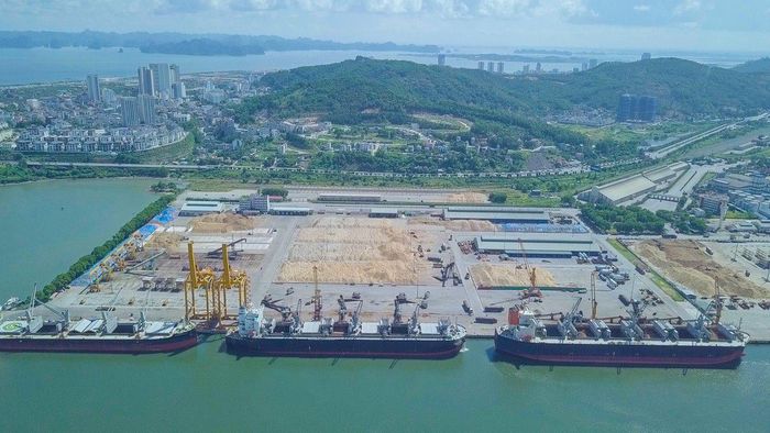 Công ty CP Cảng Quảng Ninh thực hiện đầy đủ các nội dung theo phương án bảo đảm an toàn hàng hải được cơ quan quản lý phê duyệt khi đón tàu có trọng tải tới 85.000 DWT giảm tải (Ảnh: Quangninh Port).