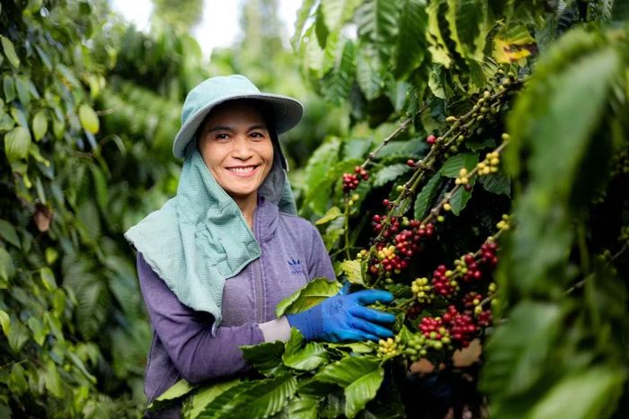Vùng Đồng bằng sông Cửu Long và các tỉnh Vĩnh Long, Gia Lai, Cà Mau đang cho thấy những lợi thế riêng về chi phí sinh hoạt. (Ảnh: Vietnam+)