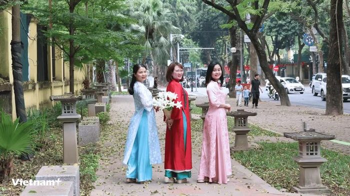 Chụp ảnh áo dài cùng hoa loa kèn trở thành lựa chọn yêu thích của nhiều người. (Ảnh: Minh Phương/Vietnam+)