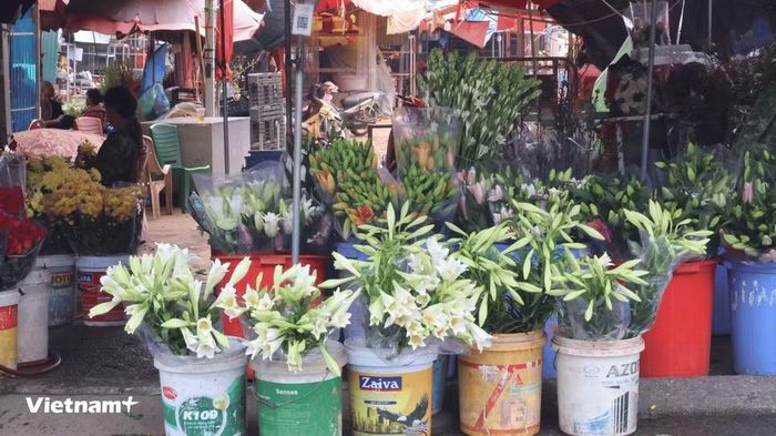 Hoa loa kèn chiếm vị trí nổi bật tại nhiều sạp hàng tại chợ Tây Tựu đầu mùa vụ. (Ảnh: Minh Phương/Vietnam+)