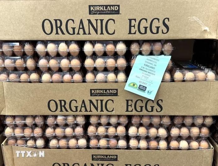 Trứng gà hữu cơ bày bán trong chuỗi siêu thị bán lẻ Costco ở bang Maryland. (Ảnh: Đoàn Hùng/TTXVN)