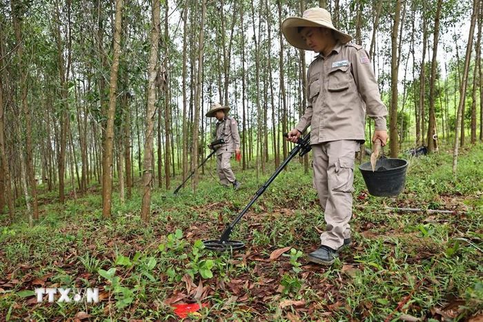 Rà phá, bom mìn đem lại đất sản xuất cho nhân dân Quảng Trị. Ảnh: Minh Đức/TTXVN