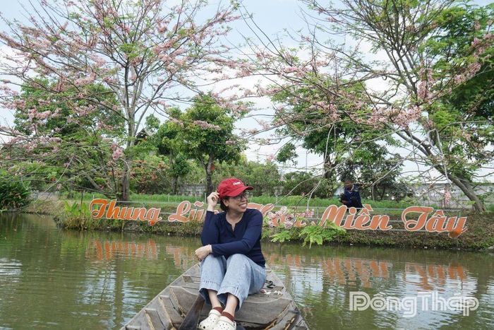 Vẻ đẹp thơ mộng của sắc hồng hoa muồng đào thu hút du khách đến tham quan, chụp ảnh lưu niệm tại Sa Đéc.
