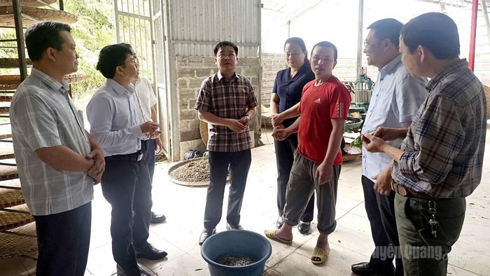 Đoàn thăm mô hình sản xuất chế biến chè HTX Trà Hương San thôn Cao Bành.