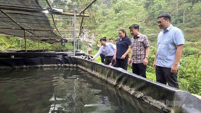 Đoàn kiểm tra mô hình liên kết nuôi cá tầm thôn Bó Đướt, xã Thượng Sơn.