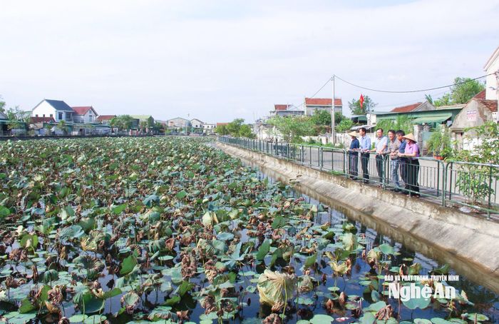 Không gian nông thôn mới xã Hưng Nguyên Nam được quan tâm đầu tư khang trang, hiện đại. Ảnh: Mai Hoa