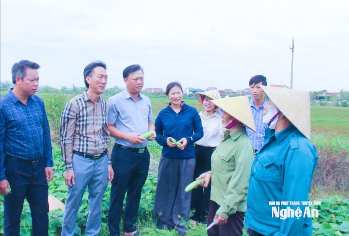 Lãnh đạo xã Hưng Nguyên Nam kiểm tra việc triển khai nghị quyết của chi bộ về đưa cây dưa vào trồng trên đất màu. Ảnh: Mai Hoa