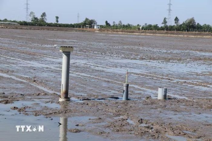 Nông dân tham gia mô hình sử dụng các thiết bị cảm biến đo mực nước và phần mềm giám sát việc bón phân theo nguyên tắc khuyến cáo "4 đúng" (đúng loại, đúng liều lượng, đúng thời điểm và đúng cách). (Ảnh: Thu Hiền/TTXVN)