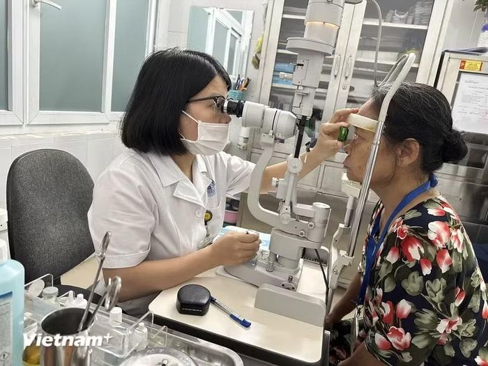 (Ảnh: PV/Vietnam+)