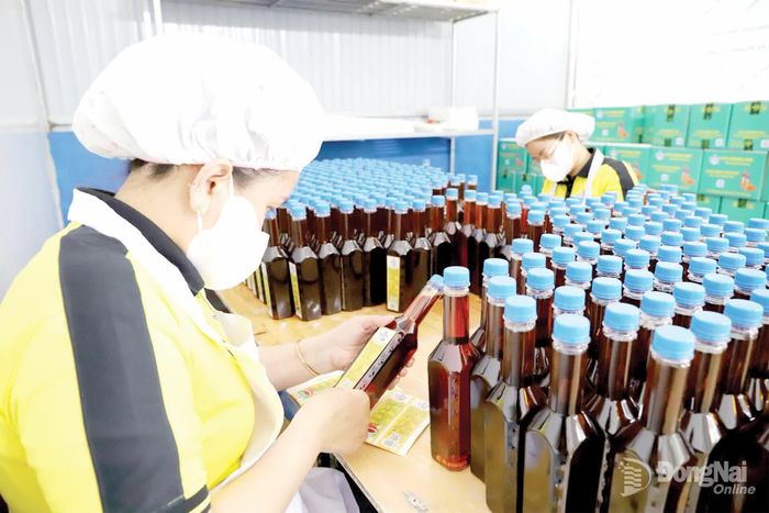 Quy trình sản xuất nước mắm từ trái điều tại Hợp tác xã Hoàng Anh, phường Bình Phước, tỉnh Đồng Nai.