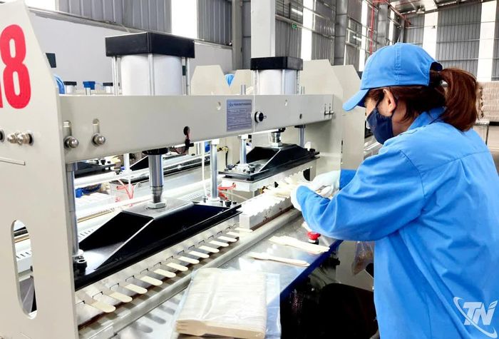 Các doanh nghiệp chế biến gỗ đẩy mạnh sản xuất phục vụ xuất khẩu. Trong ảnh: Sản xuất đồ gỗ dùng một lần phục vụ xuất khẩu tại Công ty TNHH Kẻ Gỗ (Khu công nghiệp Thanh Bình).