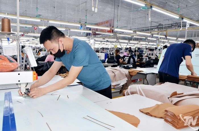 Các doanh nghiệp may trên địa bàn tỉnh đóng góp tích cực vào tăng trưởng kim ngạch xuất khẩu.