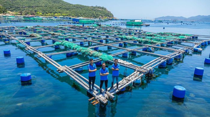 Vùng nuôi của KLC Seafood được kiểm soát chặt chẽ, tạo nền tảng cho chất lượng sản phẩm và năng lực xuất khẩu
