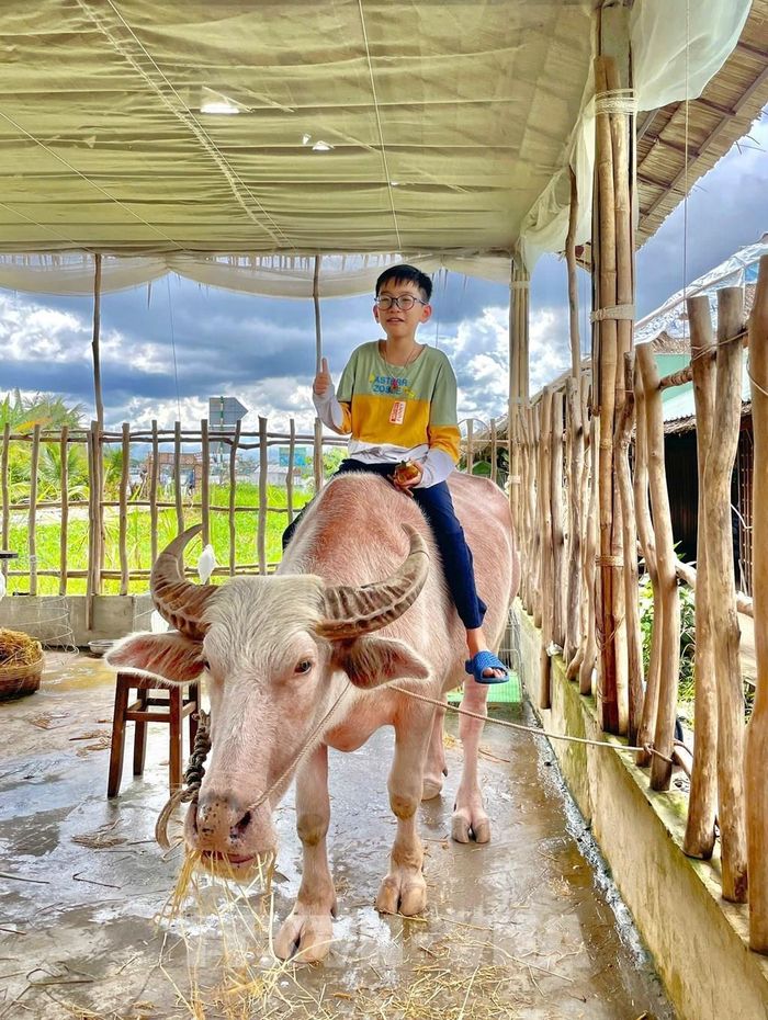 Em bé trong hành trình du lịch tại Cồn Sơn (Cần Thơ). Ảnh: Nguyễn Hằng – TTXVN