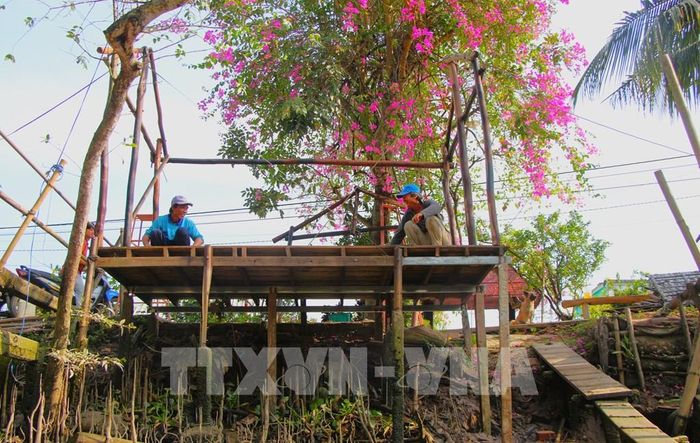 Khung cảnh thiên nhiên trong lành, người dân đôn hậu ở Cồn Sơn. Ảnh: Nguyễn Hằng – TTXVN