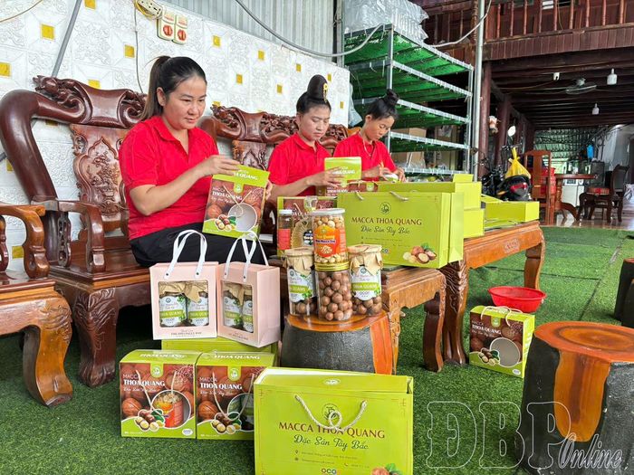 Sản phẩm hạt mắc ca sấy tách kẽ Thoa Quang được người tiêu dùng tin tưởng, ưa chuộng.