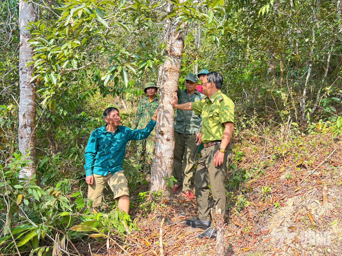 Cán bộ Hạt Kiểm lâm Na Sang phối hợp với cán bộ, nhân dân xã Mường Pồn, tỉnh Điện Biên kiểm tra, tuyên truyền phòng, chống cháy rừng.