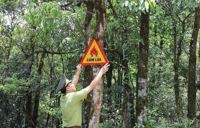 Nghiêm cấm mọi hoạt động phát sinh nguồn lửa để phòng cháy rừng (Hình minh họa)
