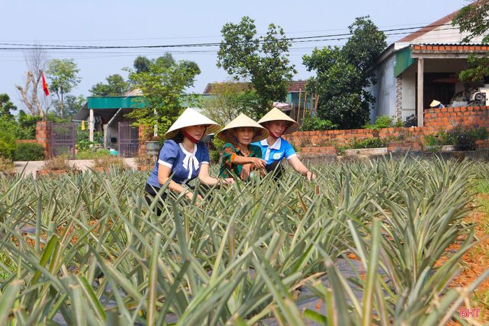 Cán bộ Hội LHPN xã Kỳ Xuân kiểm tra mô hình phân loại rác của bà Nguyễn Thị Tuyến và vườn dứa được chăm sóc từ phân ủ vi sinh của bà.
