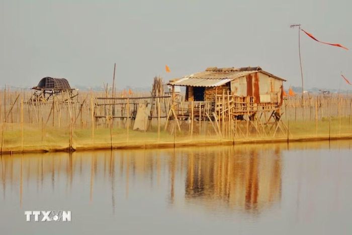 Phá Tam Giang với vẻ đẹp hoang sơ, lãng mạn lúc bình minh. (Ảnh: Văn Dũng/TTXVN)