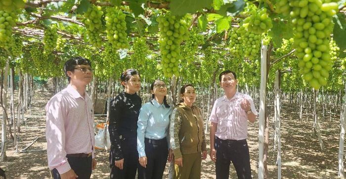 Ban đại diện cấp xã “cầu nối” gắn kết ngân hàng với chính quyền, nâng cao hiệu quả sử dụng nguồn vốn tín dụng chính sách.