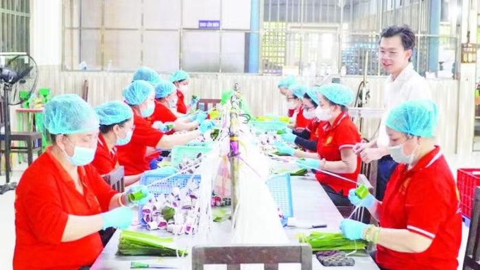 Khu đóng gói thành phẩm nem Lai Vung tại Cơ sở chế biến thực phẩm Cô Hoàn.