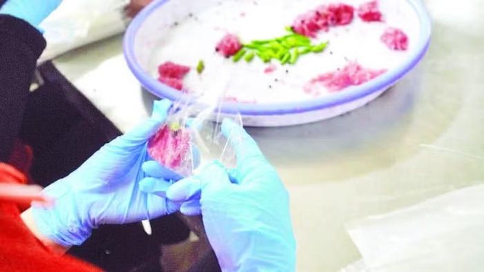 Những chiếc nem chua được gói khéo léo, cẩn thận.