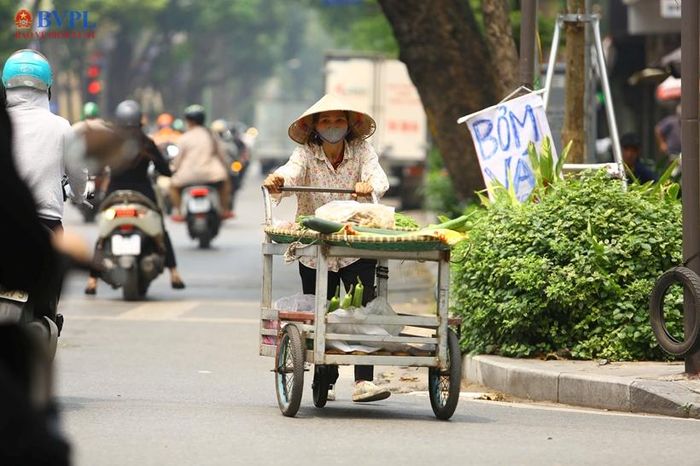 Người dân vất vả mưu sinh trong cái nắng đầu hè.