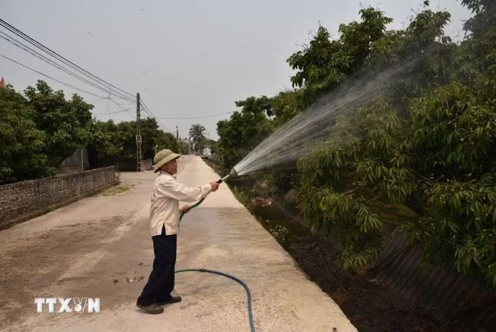 Nông dân tưới dưỡng ẩm cho cây vải. (Ảnh: Mạnh Minh/TTXVN)