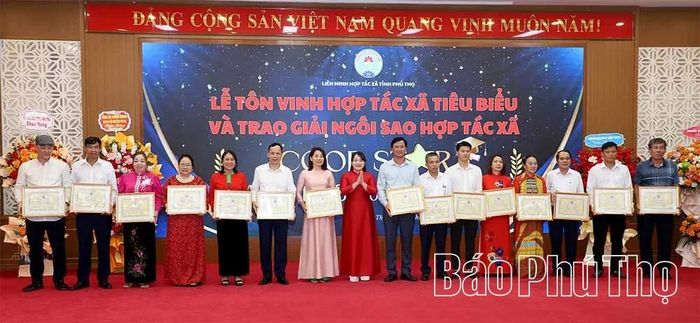 Lãnh đạo Liên minh HTX tỉnh trao tặng Giấy khen cho các tập thể.