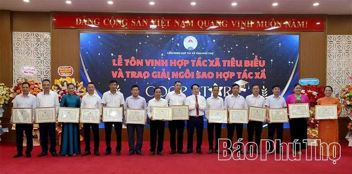 Lãnh đạo Liên minh HTX tỉnh trao tặng Giấy khen cho các tập thể.