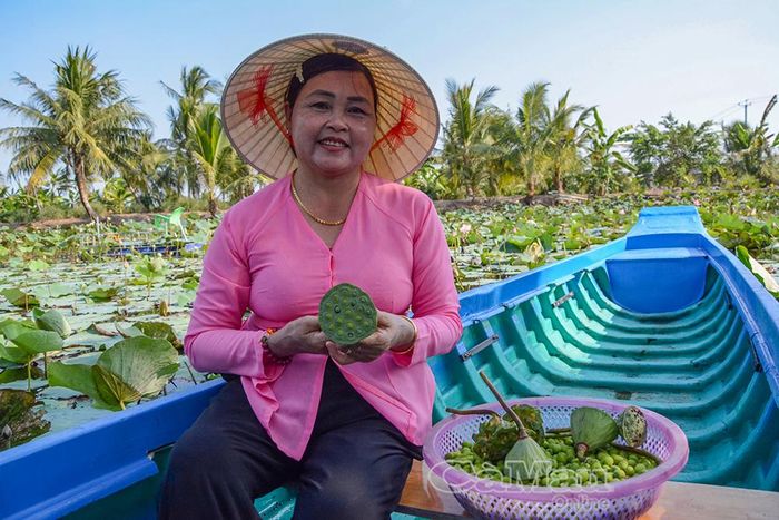 Từ nguồn vốn tự thân và đam mê học hỏi, bà Trần Ngọc Diệp gây dựng ao sen, mở lối làm kinh tế mới giữa đồng lúa.